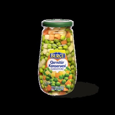 570 GR GARNİTÜR KONSERVESİ CAM